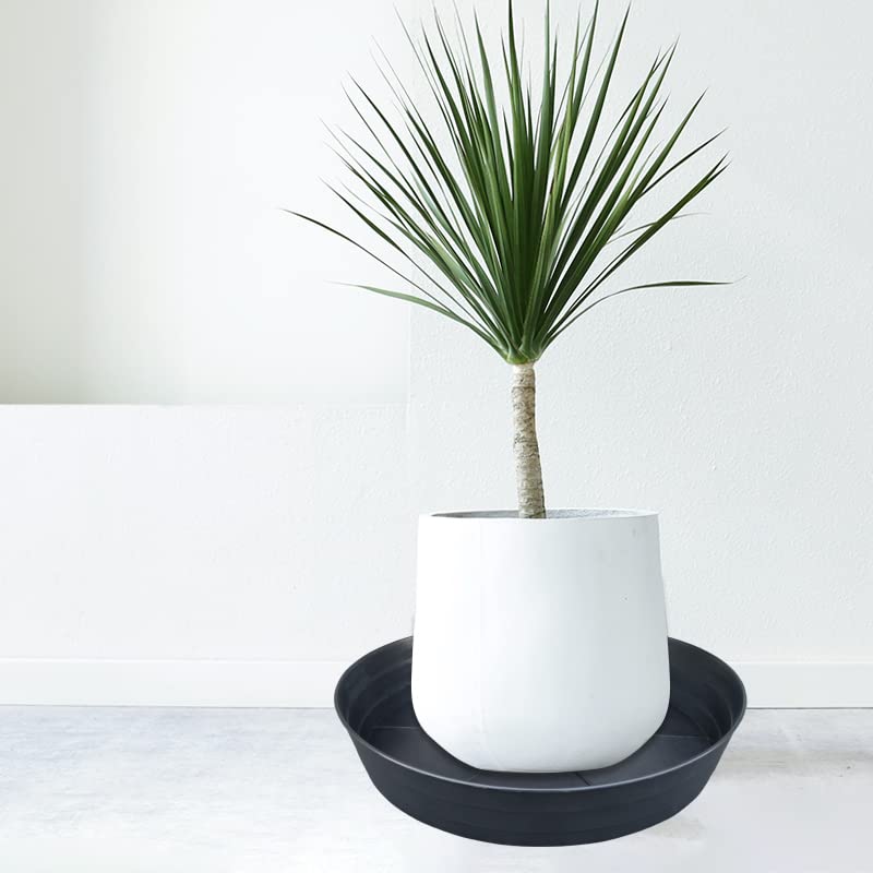 LWALRS thick durable PP plastic saucer withstands outdoor use and daily wear.