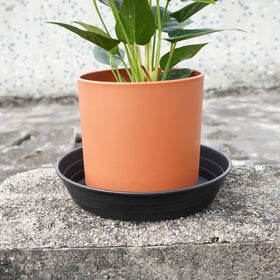 LWALRS plant pot on saucer demonstrates drainage management for indoor plants.