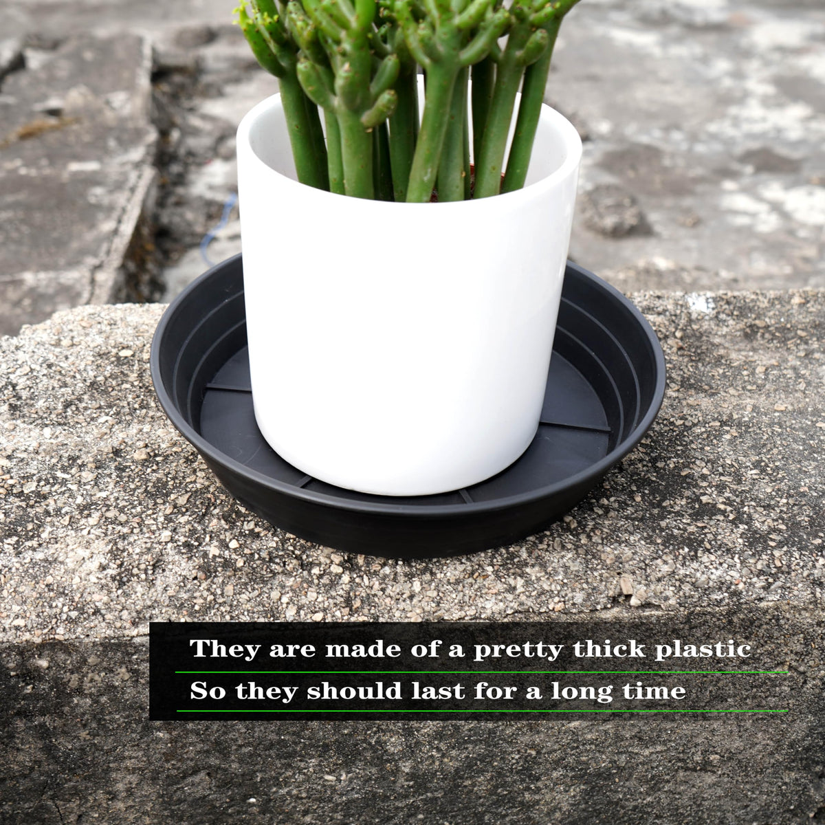 LWALRS round plastic saucer fits most standard pots.