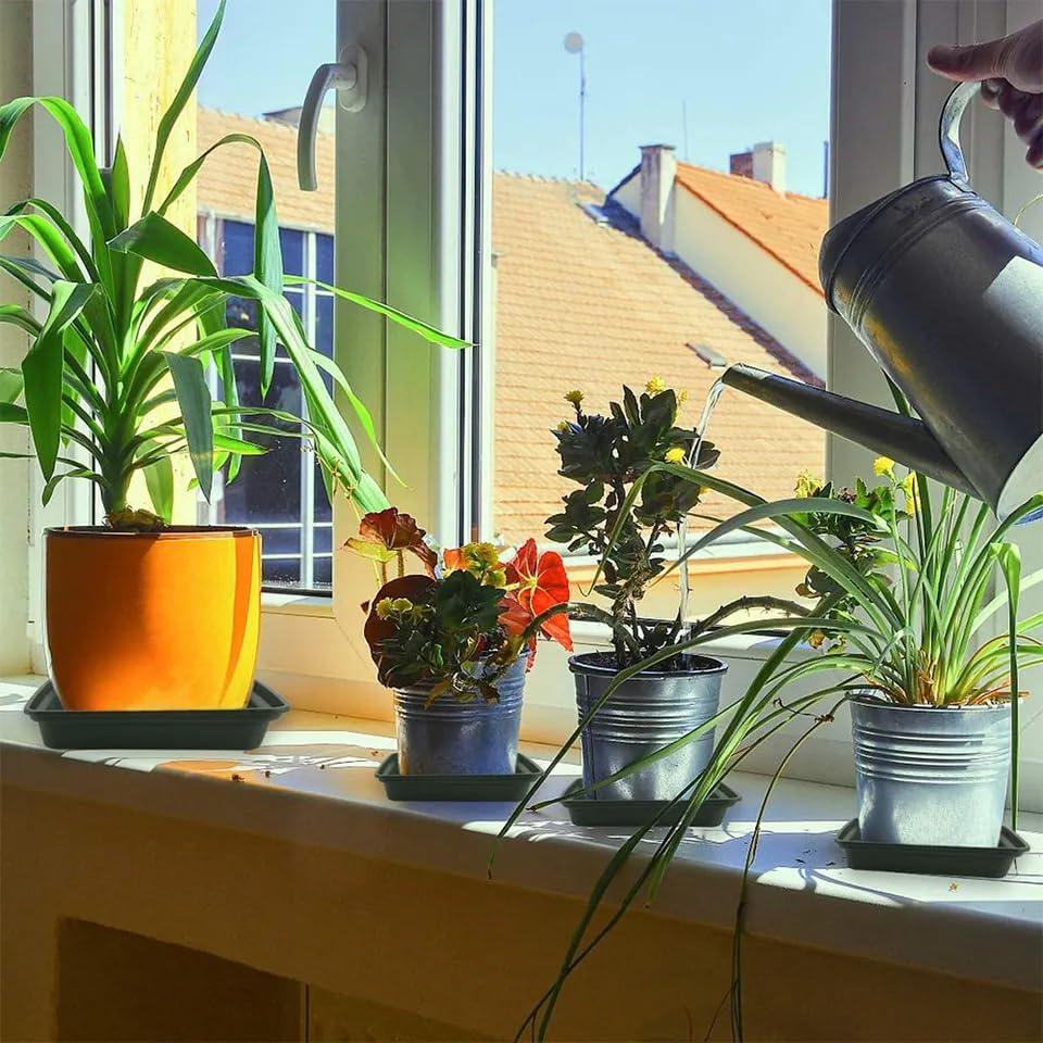 LWALRS five pack ready for multiple pots