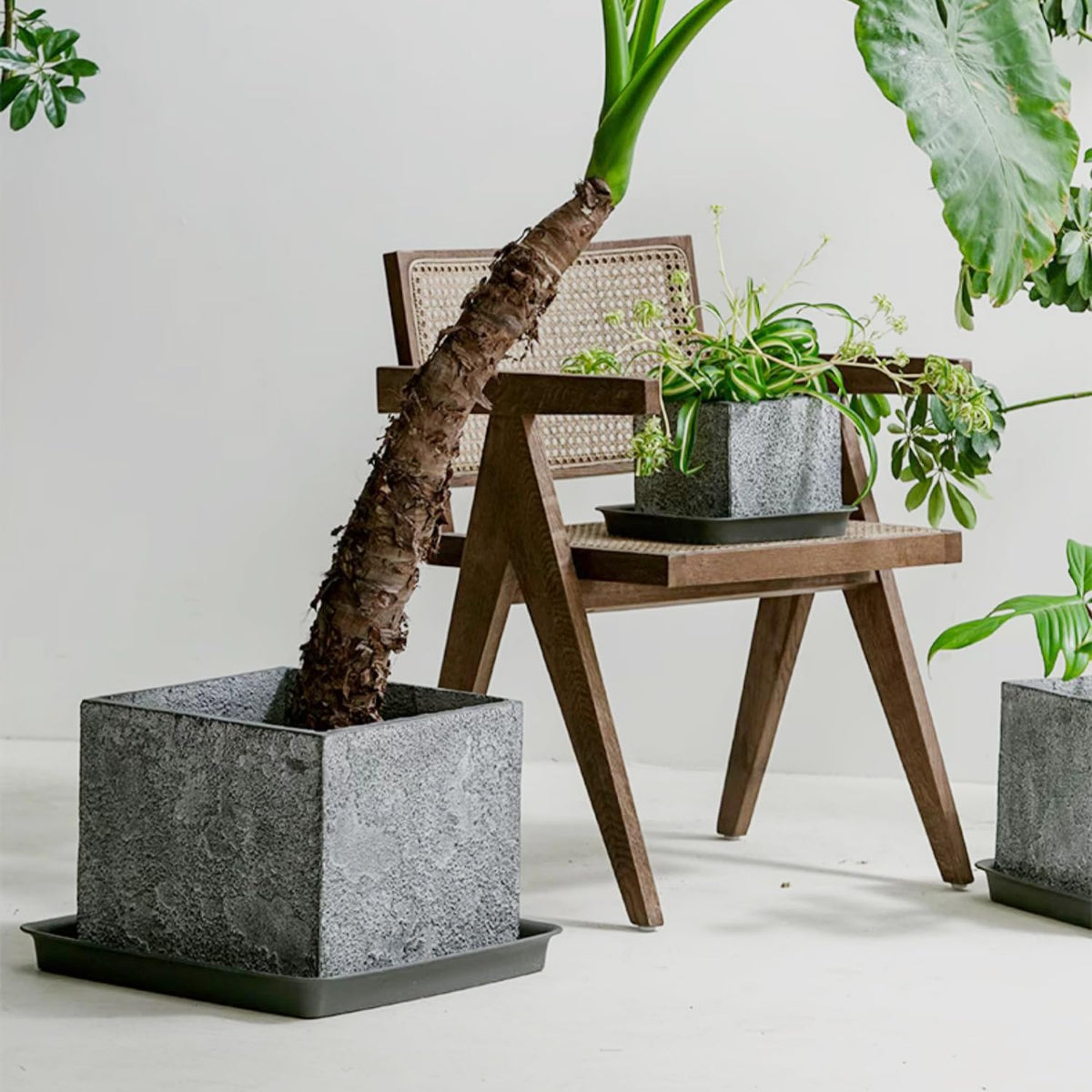 LWALRS square plant saucer 16-inch, thick-wall design supports large pots indoors.