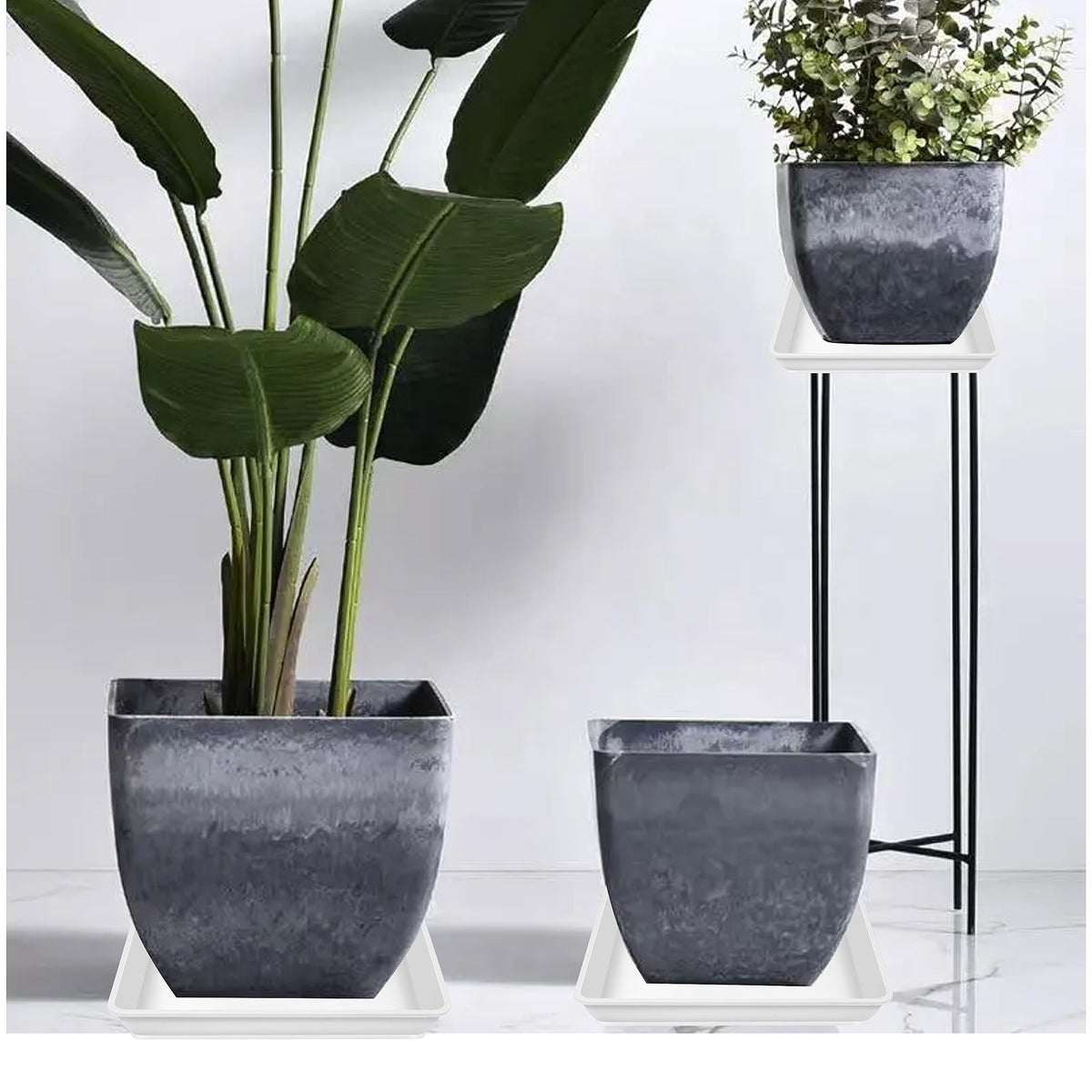 LWALRS square saucer 12-inch bottom-detail view shows stable spill-friendly design.