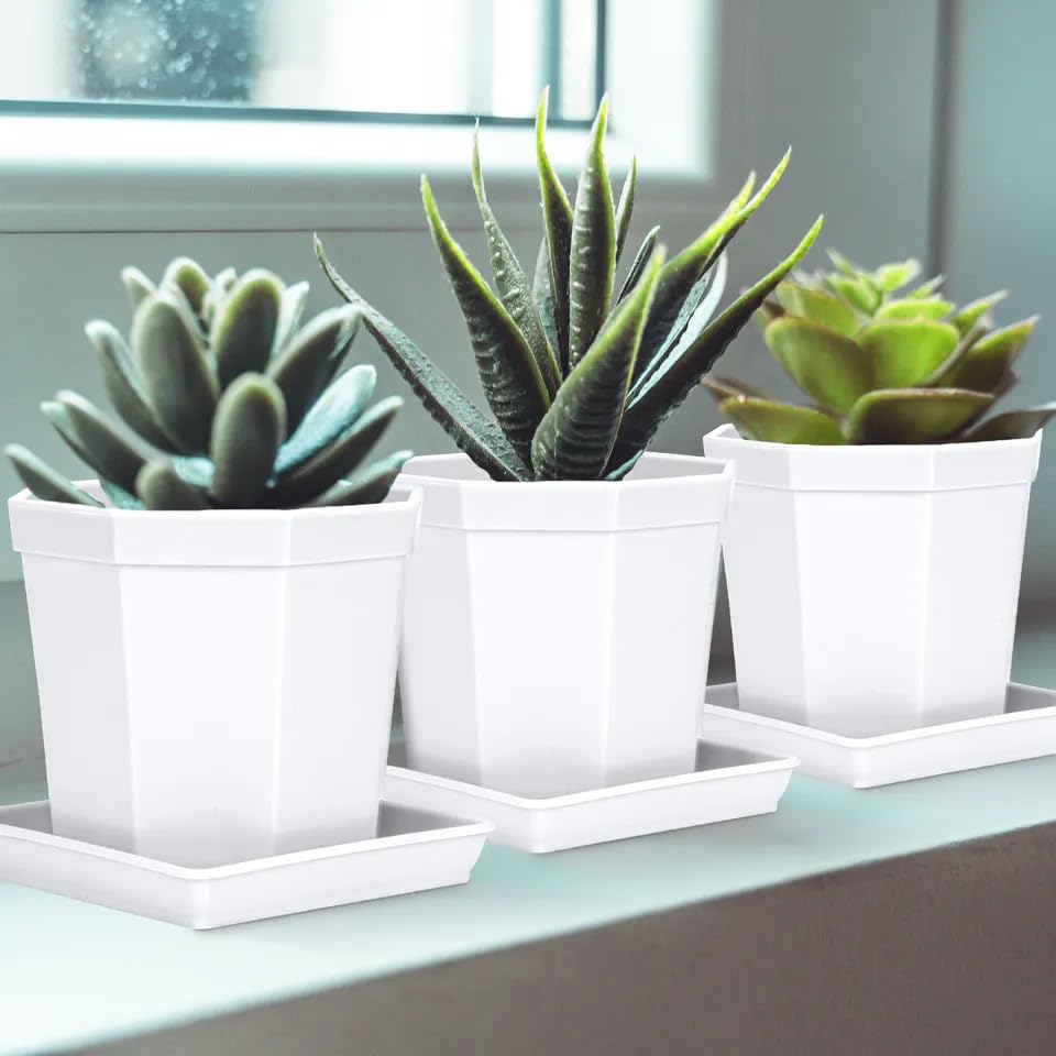 LWALRS square saucer 12-inch water-collection view showing drainage catch.