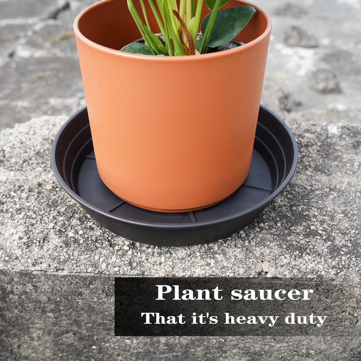 LWALRS stackable saucers neatly stacked for space-saving storage.