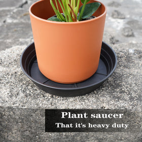 LWALRS stackable saucers neatly stacked for space-saving storage.