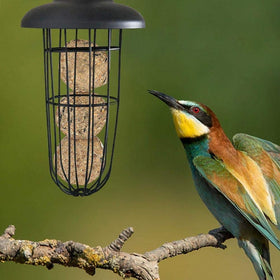 LWINGFLYER feeder hanging on branch demonstrates versatile mounting for trees or hooks