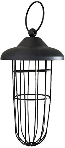 LWINGFLYER multi-port design supports simultaneous feeding for multiple birds outdoors