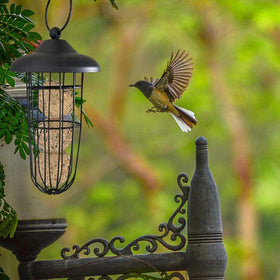LWINGFLYER Black Suet Ball Feeder top view features easy-fill access and quick-clean bottom panel
