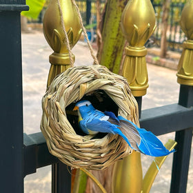 LWINGFLYER easy-installation nest can hang or mount anywhere.