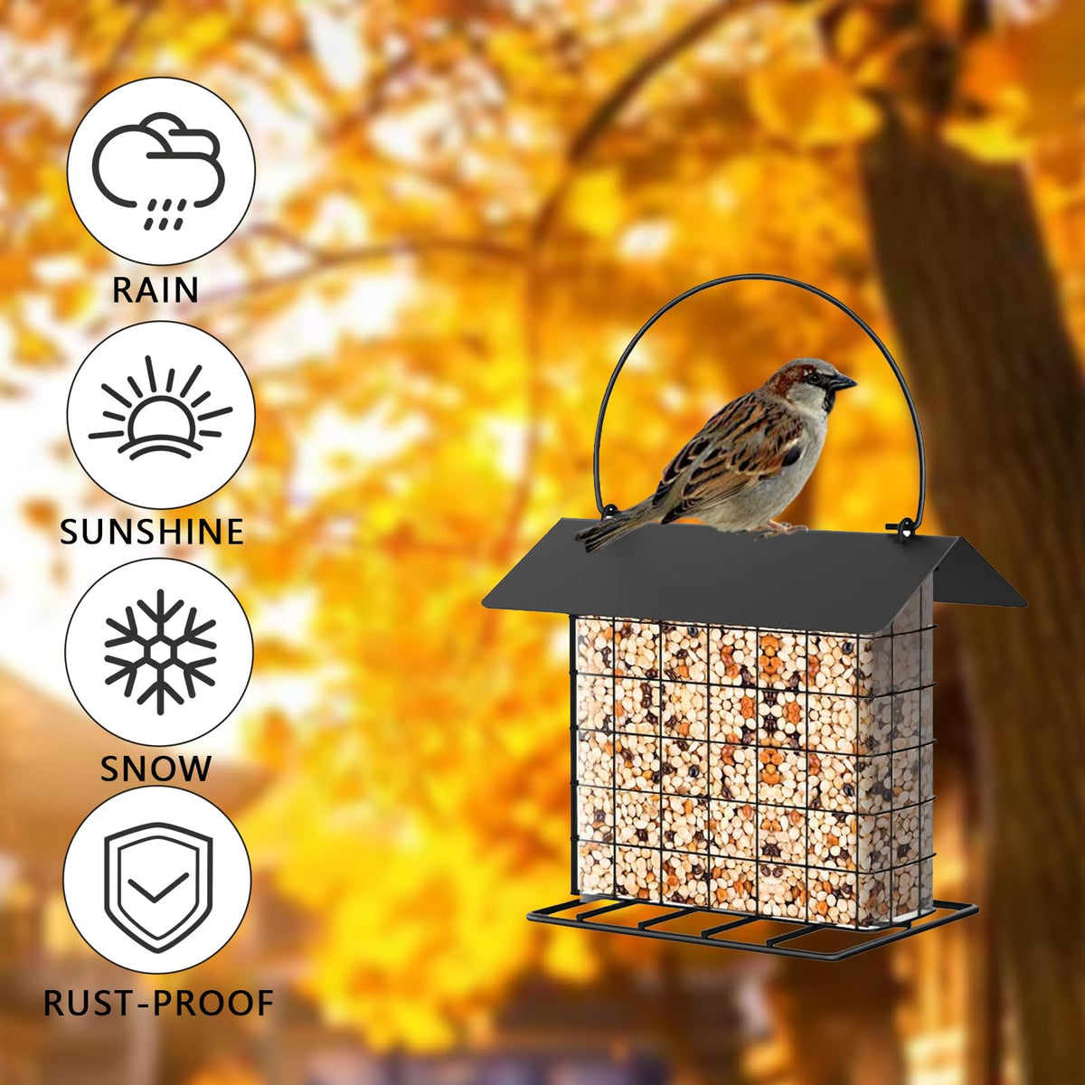 LWINGFLYER suet feeder attracts diverse birds at the feeder.