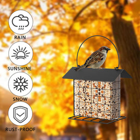 LWINGFLYER suet feeder attracts diverse birds at the feeder.