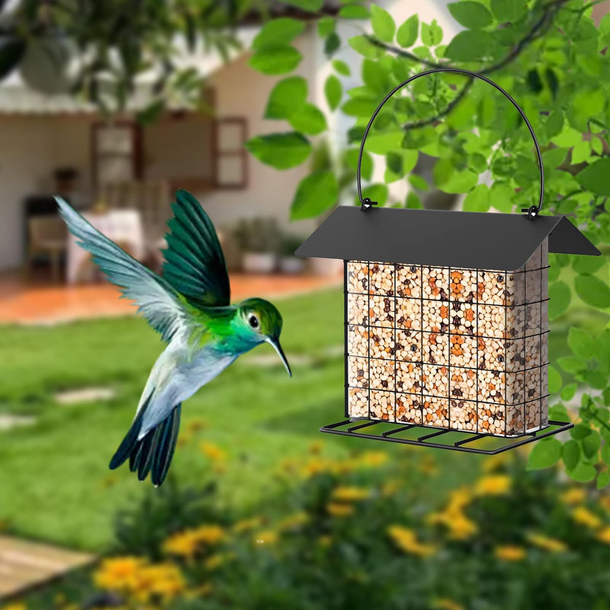 LWINGFLYER suet feeder with secure hanging loop.