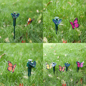 LWINGFLYER color-variation butterfly offers stunning visuals without sameness.