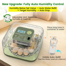 lwlaboc 12-egg incubator auto-turner rotating eggs for even heating.