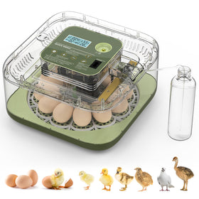 lwlaboc 12-egg incubator front view with digital display for precise control.