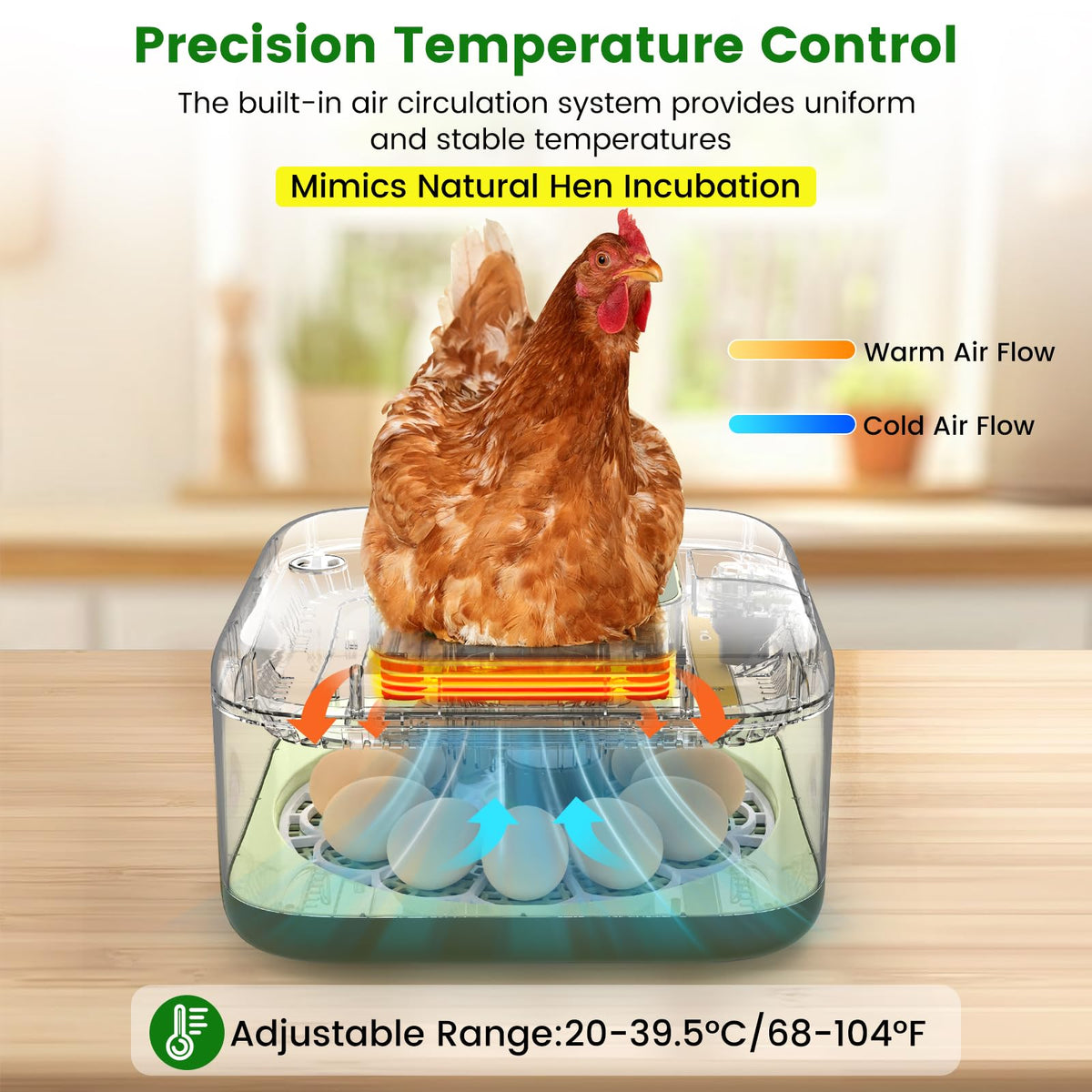 lwlaboc 12-egg incubator temperature and humidity controls with 360° airflow.