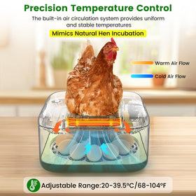 lwlaboc 12-egg incubator temperature and humidity controls with 360° airflow.