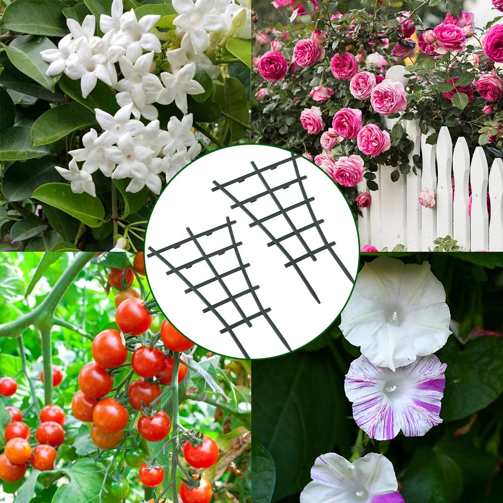 Lwuey mini trellis for potted plants stabilizes stems and prevents droop.