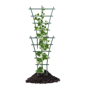 Lwuey vine support for climbing plants helps keep leaves neat and off the ground.