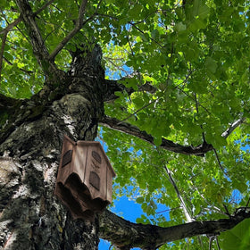Lxnavihly bat house eco-friendly pest control for gardens