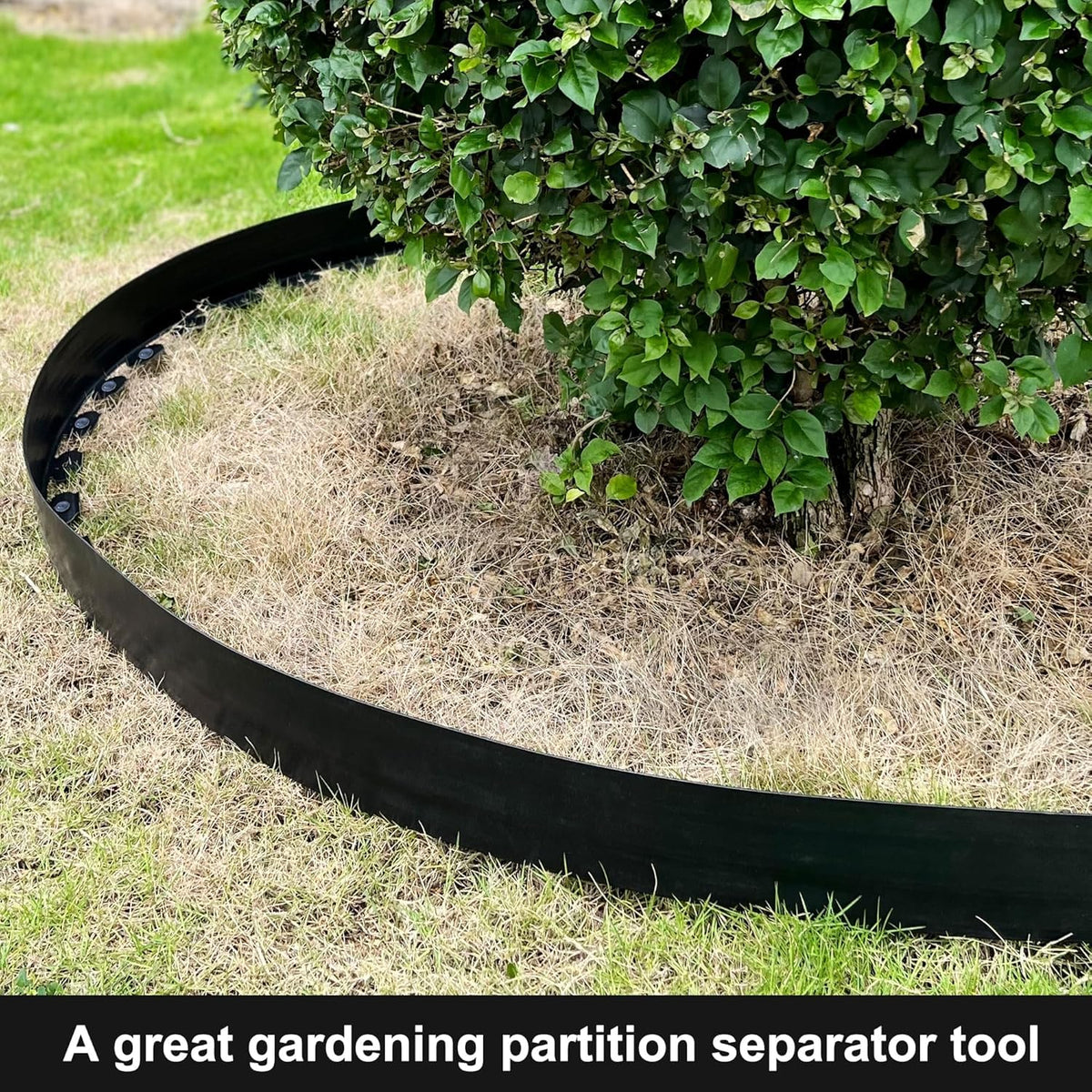 LXS edging frames flower beds and pathways with neat borders.