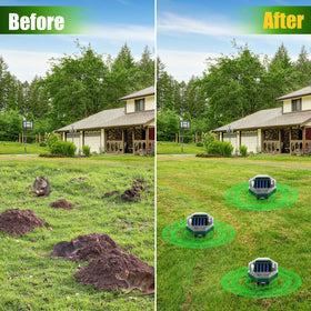 Lycxbfjia IP65 weatherproof build resists rain, snow, and sun.