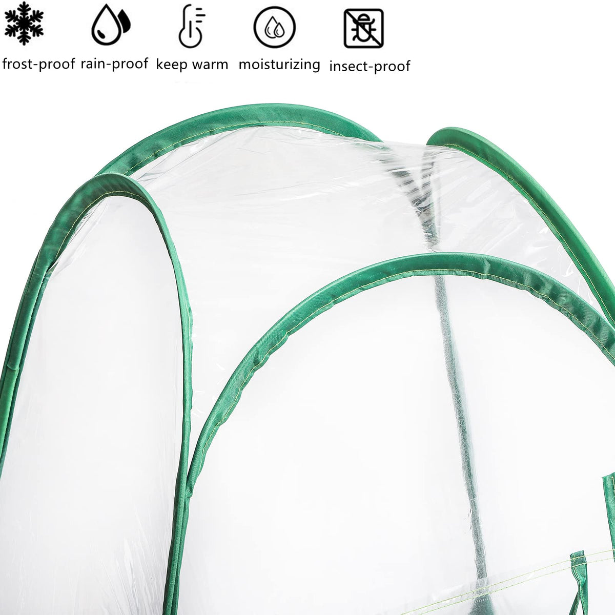 Lyellfe clear cover lets sunlight reach plants and allows easy monitoring.