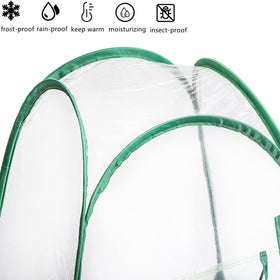 Lyellfe clear cover lets sunlight reach plants and allows easy monitoring.