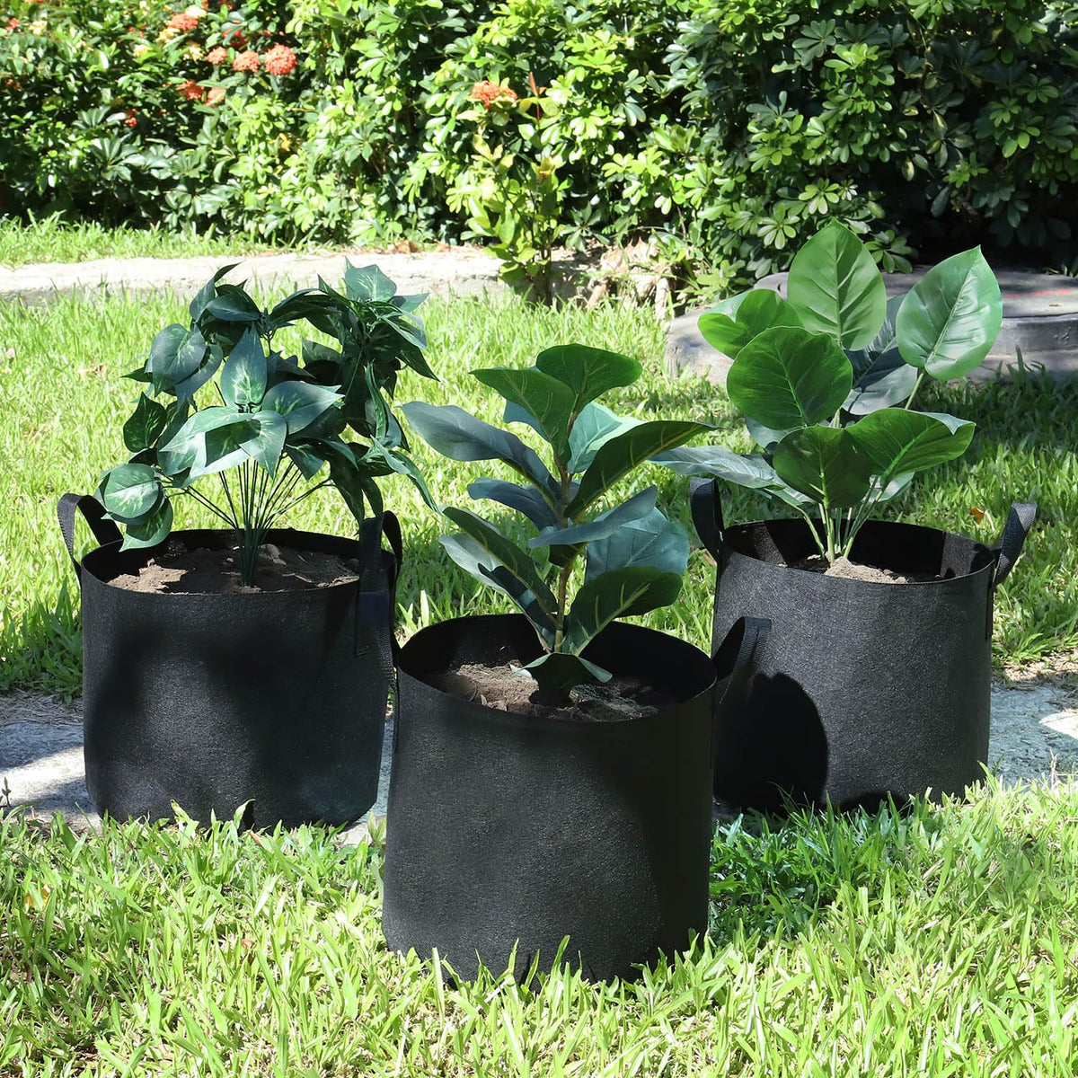 Lyincat 12-count pack ready for balcony, garden, or patio projects.
