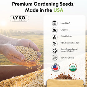 LYKOCLEAN 350+ herb seeds including basil, parsley, mint, cilantro