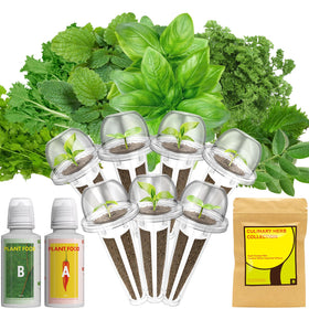 LYKOCLEAN 7-pod seed kit for hydroponics and herb growth