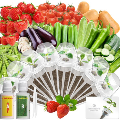 LYKOCLEAN 8-pod kit packaging with hydroponics accessories for ease of setup
