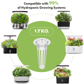 LYKOCLEAN seed kit packaging and sponges, complete indoor gardening starter.