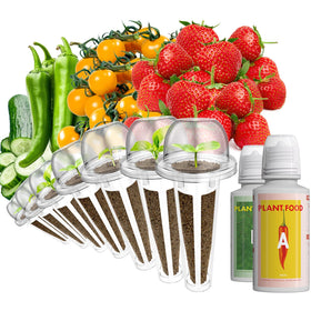 LYKOCLEAN red strawberry seeds for hydroponics, ideal for AeroGarden growth.