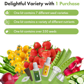 LYKOCLEAN ruby queen beet seeds for soil-free growing, colorful roots.