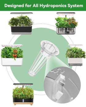 LYKOCLEAN Gift-ready indoor flower garden kit for gifting to gardeners and hobbyists.