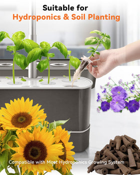 LYKOCLEAN Premium grow sponges and nutrients support healthy root growth and germination.