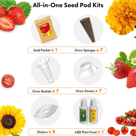 LYKOCLEAN Red Cherry Tomato seeds; quick-fruiting for fresh indoor harvest.