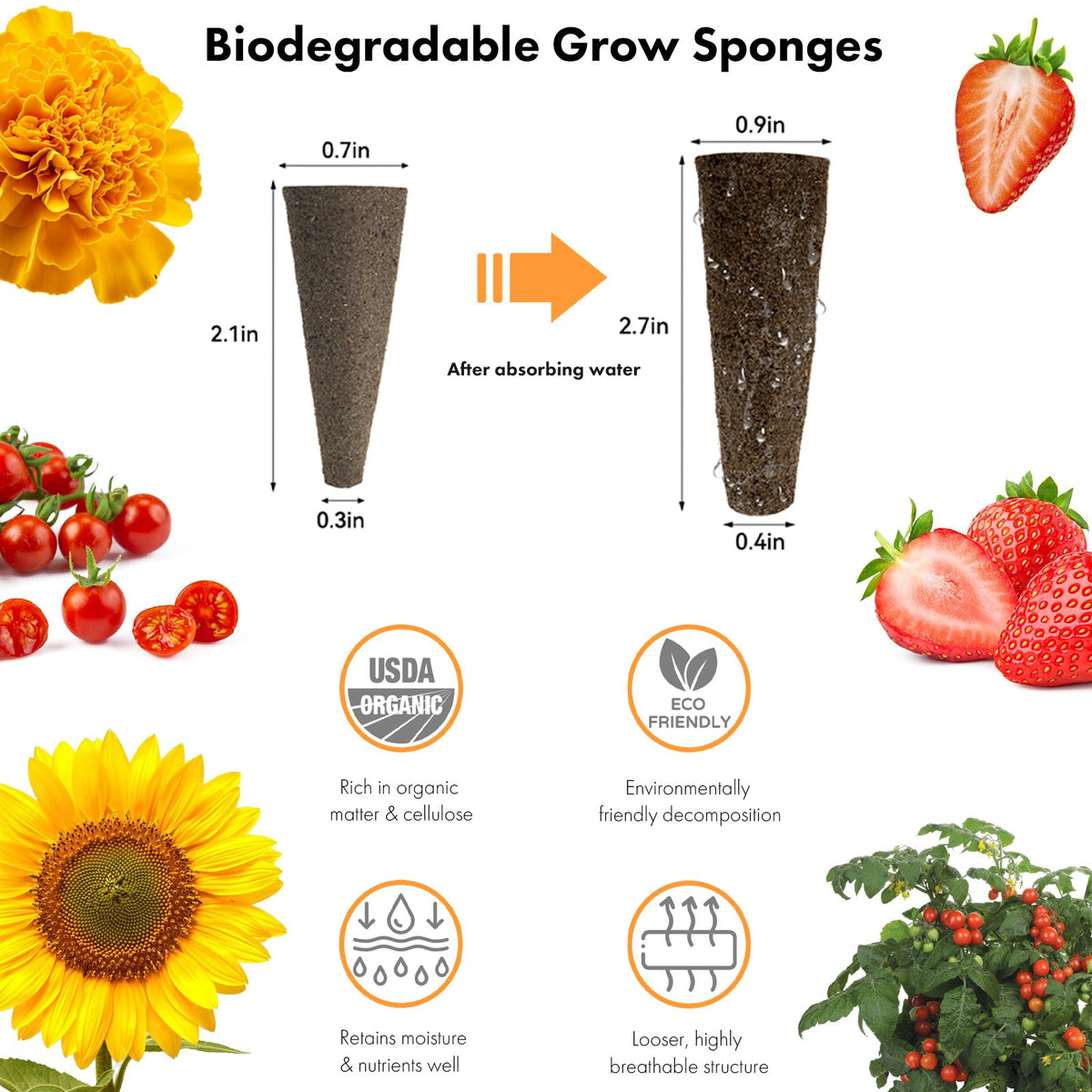 LYKOCLEAN Red Strawberry seeds; flavorful fruits for indoor gardening.