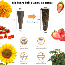LYKOCLEAN Red Strawberry seeds; flavorful fruits for indoor gardening.
