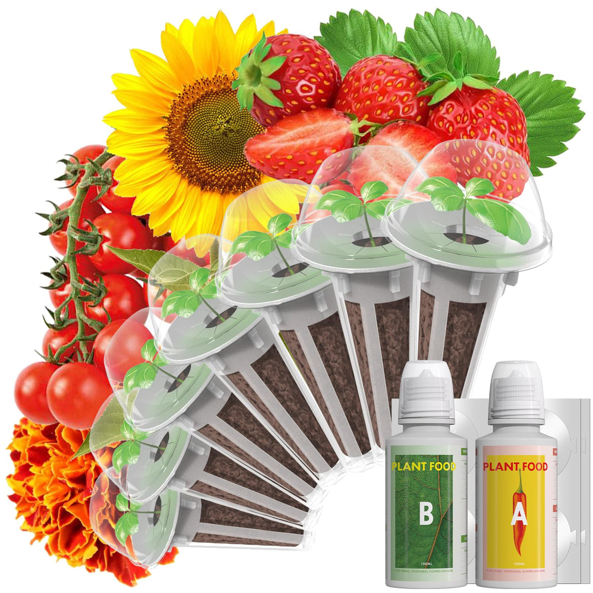 LYKOCLEAN seed pod kit for AeroGarden; easy setup for beginners.