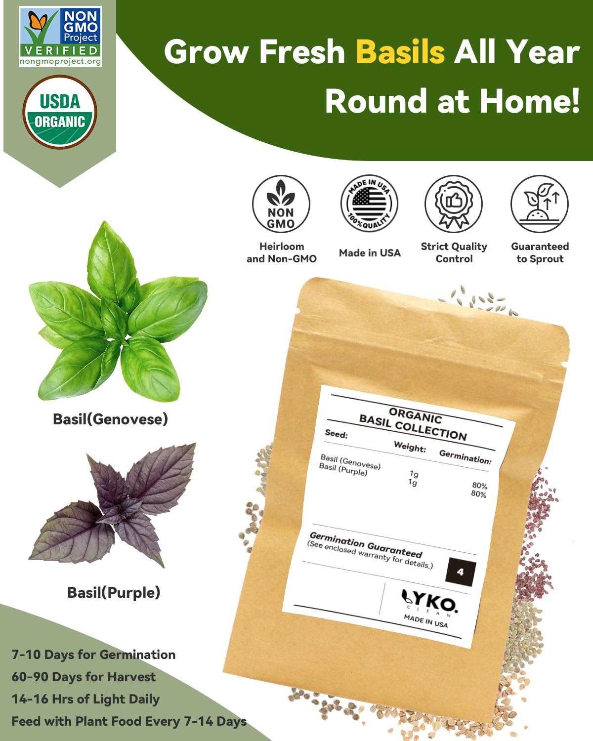 LYKOCLEAN Purple Basil seed pod ready for colorful kitchen herb use