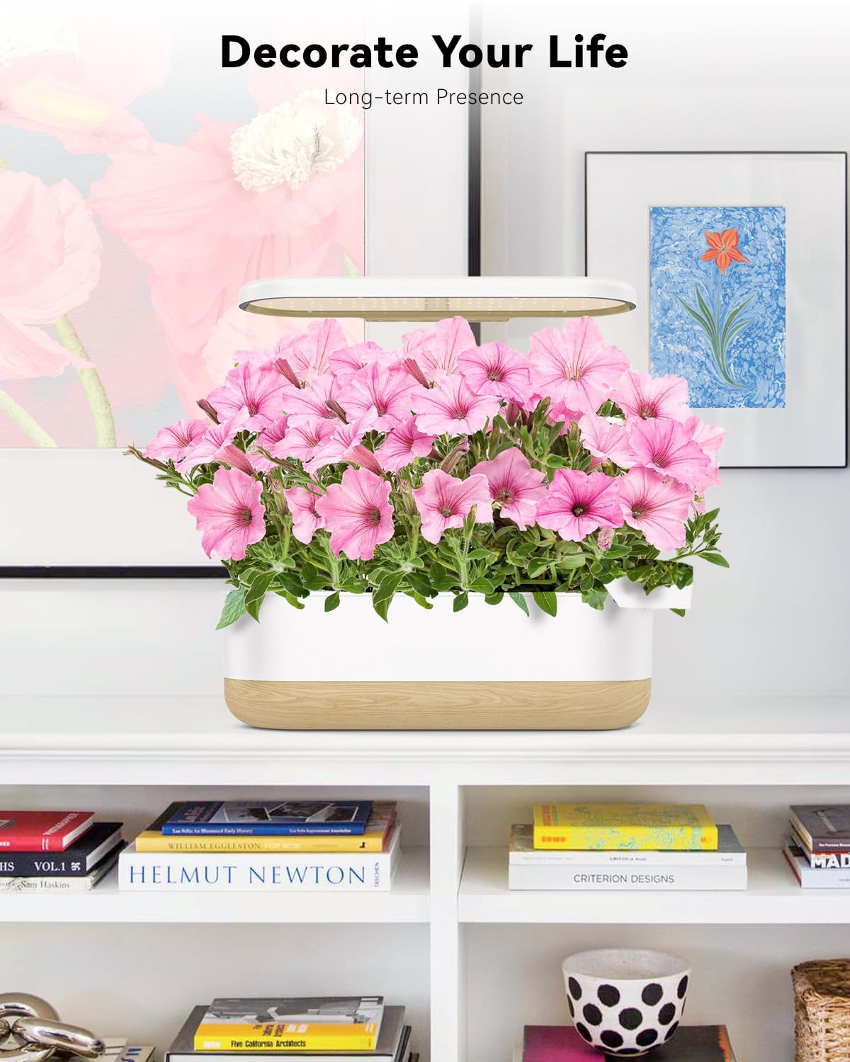 LYKOCLEAN Flower varieties including marigold, cosmos, zinnia, lavender for colorful indoor blooms.
