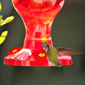 Lyreh hummingbird feeder centers and petals set for outdoor use