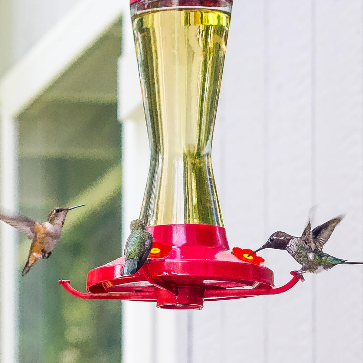 Lyreh cleaning brushes included with hummingbird feeder parts