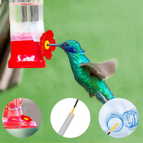 Lyreh hummingbird feeder blue petals add cheerful color and durability