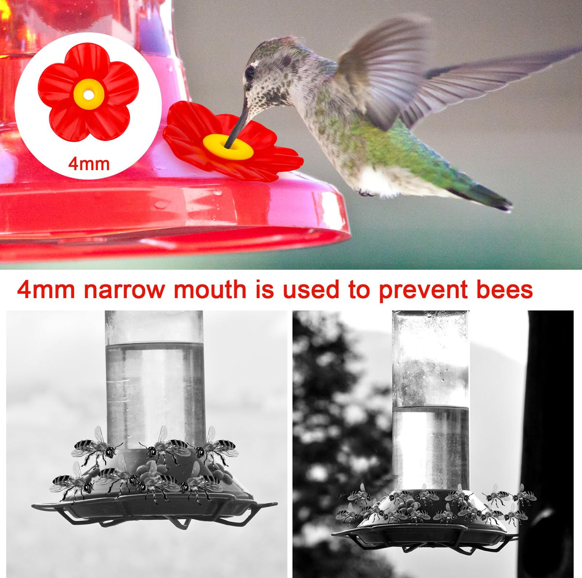 Lyreh hummingbird feeder red petals provide bold contrast