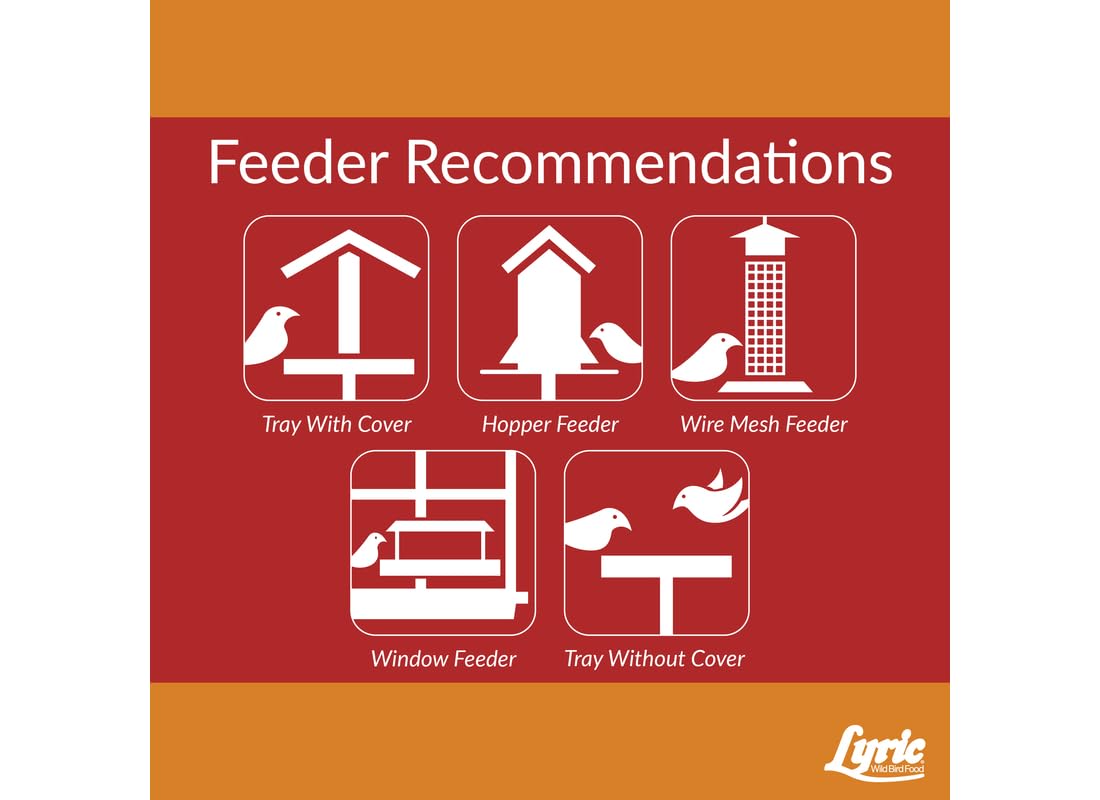 Lyric cardinal-friendly mix attracts cardinals and grosbeaks.