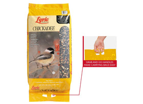 Close-up of Lyric seeds and nuts, high-energy mix for backyard songbirds.