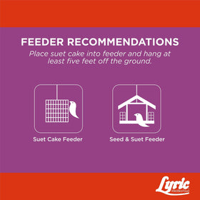 Bluebirds and chickadees attracted to Lyric Delite in backyard feeders.